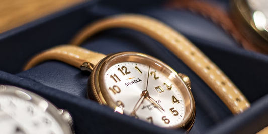 A Refined Protector for Your Timepiece
