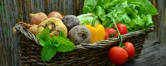 Food Safety