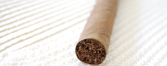 cigar for beginners