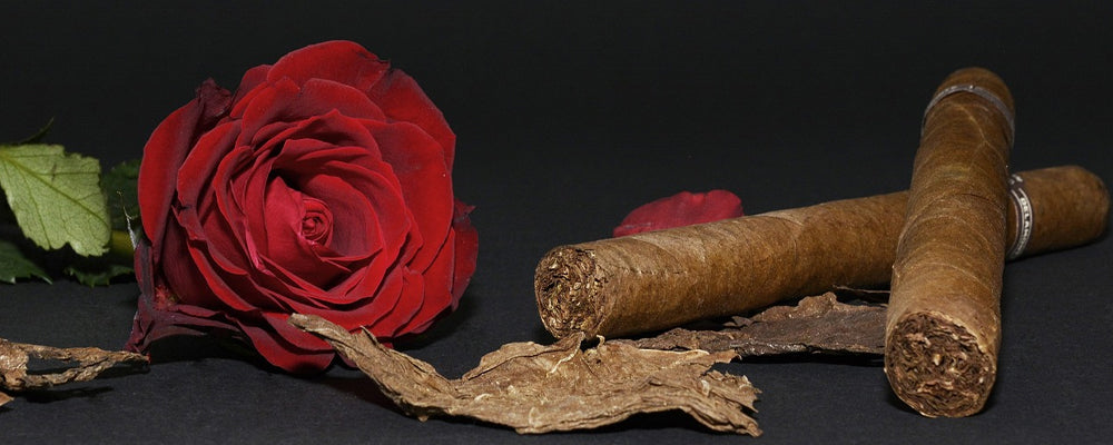 tips to travel with cigars