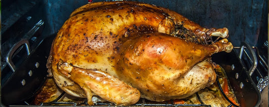 digital meat thermometer for oven