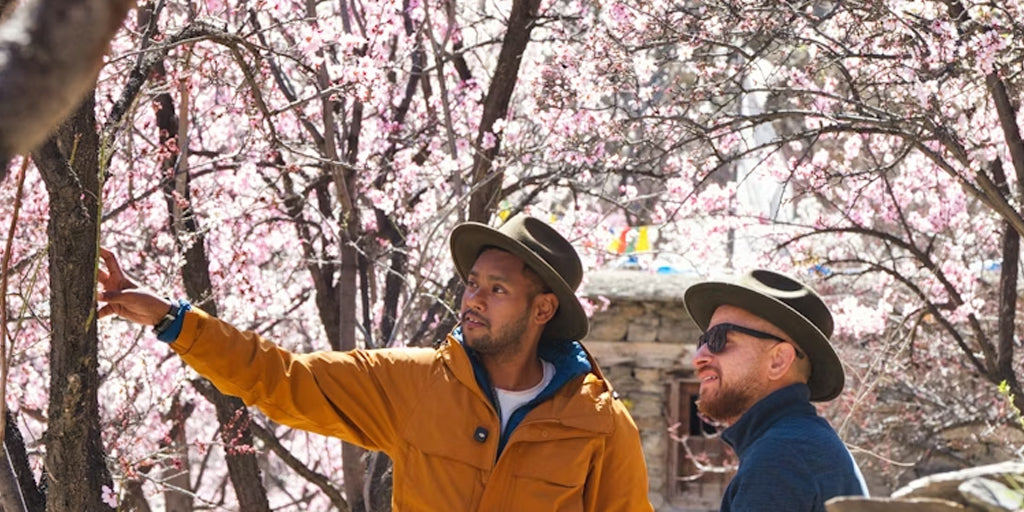 two men travel in the flower forrest