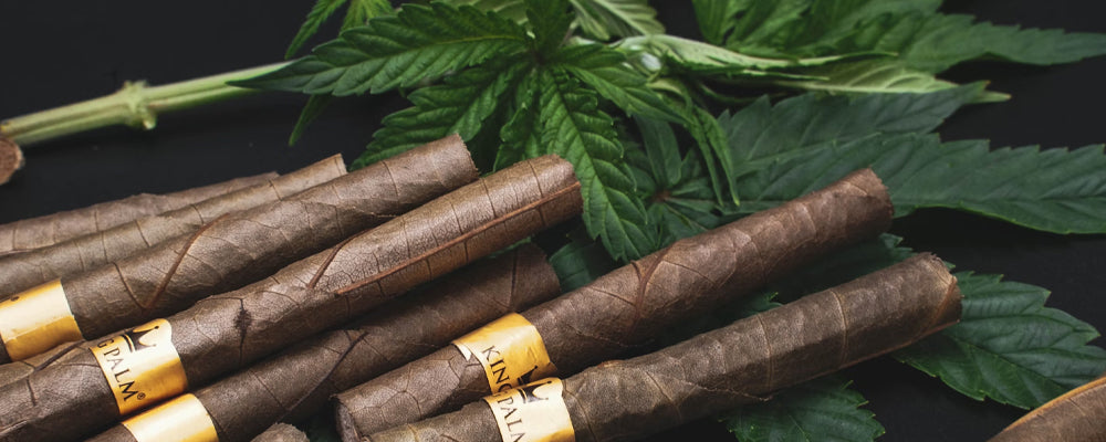tips to make cigar at home