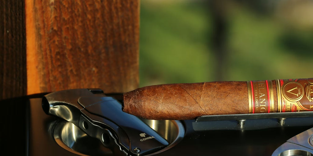 travel with cigar